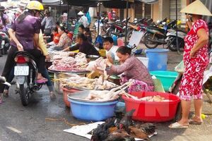 Giá thịt lợn hơi tăng nhẹ trong khi giá thịt gia cầm giảm sâu