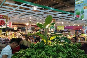Big C góp phần giải cứu chuối cho nông dân Đồng Nai