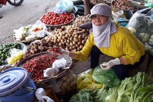Giá ớt tươi giảm thê thảm, chỉ còn 18.000 đồng/kg
