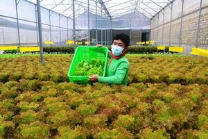 Cho vay ứng dụng công nghệ cao chưa có sức lan tỏa