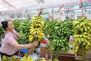 Xây dựng thương hiệu cho trái chuối xuất khẩu