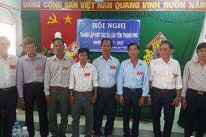 HTX Thạnh Phú làm gạo sạch