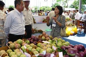 Hoa Kỳ chính thức nhập khẩu trái vú sữa của Việt Nam