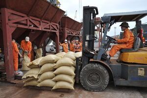 Giải pháp nâng tầm gạo Việt