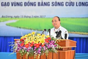 Thủ tướng: Cần một tầm nhìn mới cho hạt gạo