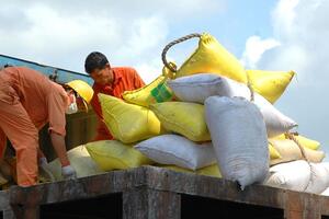 ​Xuất khẩu gạo: Thêm cơ hội từ thị trường trọng điểm