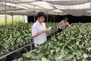 Tập trung hỗ trợ phát triển hợp tác xã giai đoạn 2016 - 2020