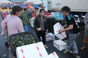 Rau quả Trung Quốc ùn ùn về VN đón tết