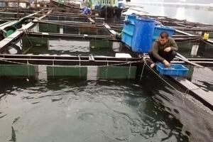 Xây dựng vùng nuôi thuỷ sản tập trung trên biển