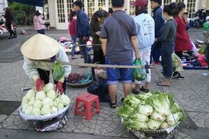 Rau xanh Đà Lạt được mùa, giá rẻ bèo