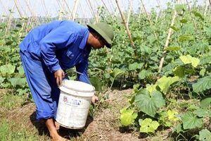 Hội Nông dân huyện Yên Mô thực hiện “Dân vận khéo” trong phát triển kinh tế