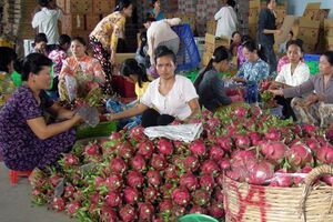 Yêu cầu làm rõ việc Ấn Độ tạm ngừng nhập khẩu một số nông sản Việt Nam
