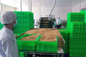 Bước tiến 'thần tốc' của Công ty điều Phúc An
