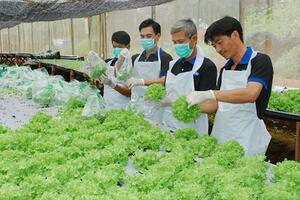 Nông nghiệp công nghệ cao hút vốn Nhật Bản