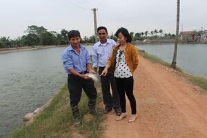 Nuôi cá khép kín, lãi 300 triệu đồng/năm