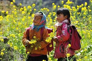 Tin thời tiết ngày 23/1: Bắc Bộ hửng nắng, nhiệt độ tăng nhẹ