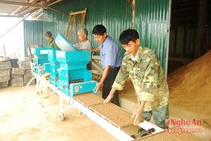 Nghệ An: Sản xuất mạ khay và cấy bằng máy