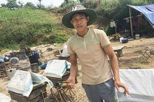 Đời di cư theo cánh ong lấy mật