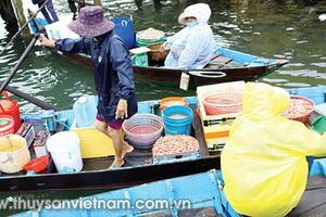 Quảng Nam: Được mùa tôm ghẹ