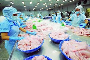 Xuất khẩu thủy sản với khẩu hiệu “Tăng tốc"