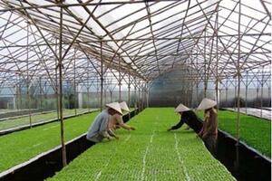 Gói tín dụng 100.000 tỷ cho nông nghiệp: Tránh lợi ích nhóm