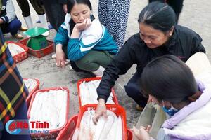 Đã mắt hải sản tươi ngon trên cảng Cửa Sót