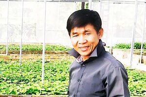 Từ bỏ giấc mơ tiến sĩ vì rau sạch