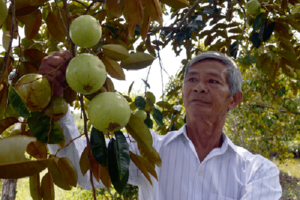 Lão nông làm giàu giữa “rốn mặn” U Minh