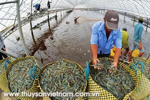 Ngành nông nghiệp “chạy đua” cùng công nghệ cao