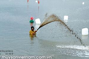 Giải pháp quản lý chất thải hữu cơ mô hình nuôi tôm trên ao đáy đất