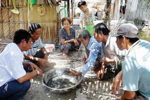 Xây dựng tổ hợp tác đúng nghĩa