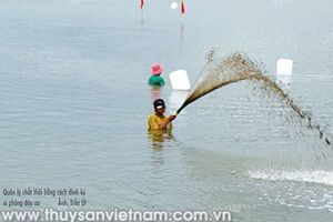 Giải pháp quản lý chất thải hữu cơ mô hình nuôi tôm trên ao đáy đất