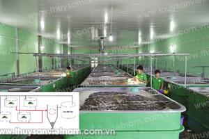 Phương pháp lắng lọc trong ao nuôi