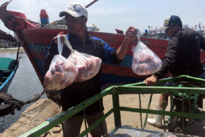 Đi chợ giữa biển Hoàng Sa: “Bắt tàu” ra khơi