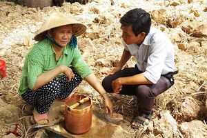 FAO hỗ trợ tiền mặt cho những hộ nghèo trong vùng hạn hán