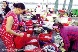 Biển miền Trung lại nhộn nhịp