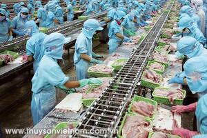 Dự án SUPA: Cơ hội “tái cấu trúc” hình ảnh cá tra?