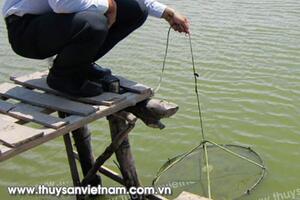 Giải pháp ứng phó với tình hình nắng nóng