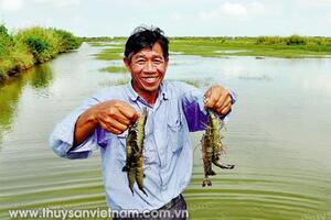 Hướng mở cho tôm quảng canh