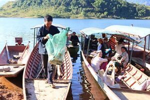 Về quê mới, nuôi 5 trâu, 10 dê, 7 lợn, cuộc sống khấm khá lên