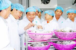 Tìm hướng phát triển nuôi tôm bền vững