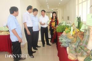 Vĩnh Phúc: Phục tài nông dân 7X nuôi 600 con bò thu 13 tỷ đồng/năm