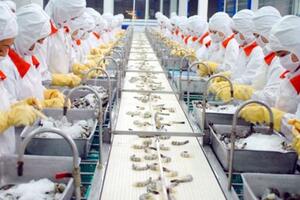 Austrlia tiếp tục áp điều kiện cho tôm nhập khẩu