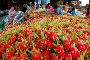 Đại biểu Quốc hội: Người tiêu dùng thông minh, cơ quan quản lý cũng phải thông minh.