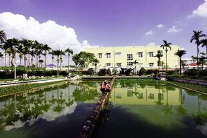 Hiệu quả cao như nuôi ba ba gai