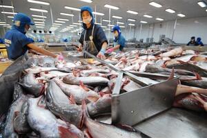 Ngành nông nghiệp đối mặt nhiều thử thách vào nửa cuối năm
