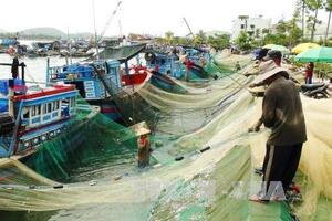 Nhiều nghề khai thác biển đạt hiệu quả cao
