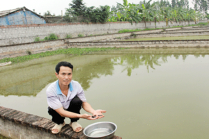 Từ con nợ thành triệu phú sau 2 năm nuôi ba ba