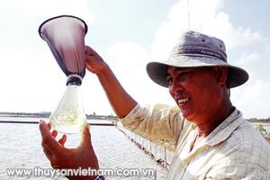 Cơ hội làm giàu từ Artemia
