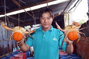 Thu 20 triệu đồng/tháng nhờ "điểm tựa" mang tên Quỹ Hỗ trợ nông dân